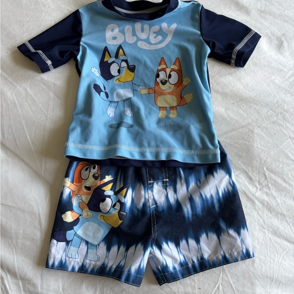 Bluey swim set 12 month